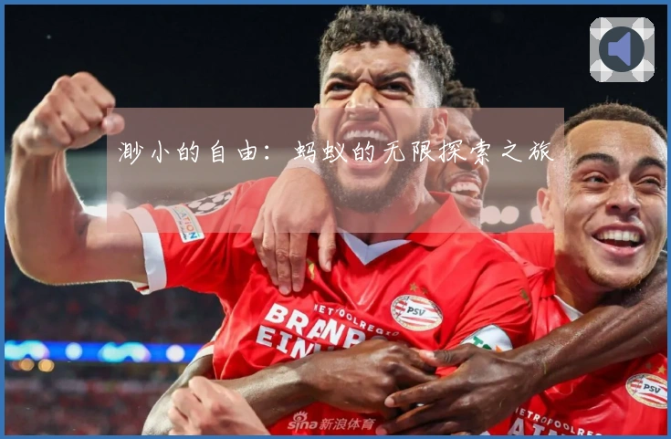 渺小的自由：蚂蚁的无限探索之旅