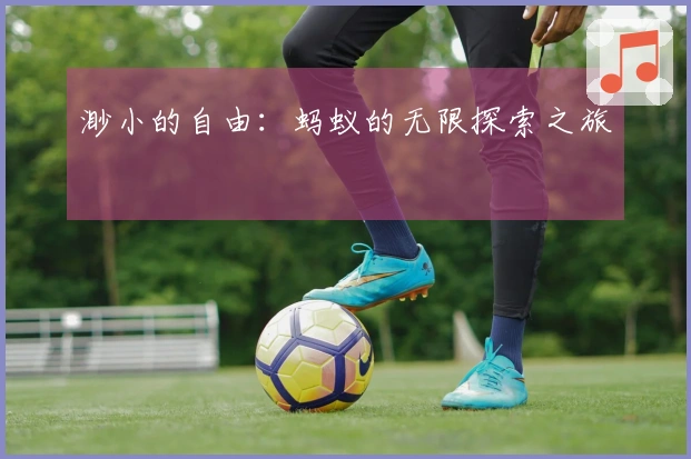 渺小的自由：蚂蚁的无限探索之旅